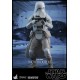 Star Wars Battlefront Videogame Masterpiece Action Figure 2-Pack 1/6 Snowtroopers 30 cm